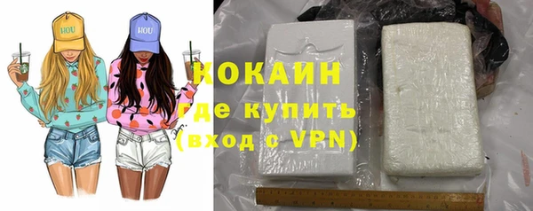 прущие грибы Баксан