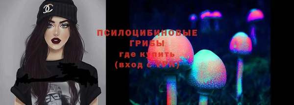 гидра Балабаново