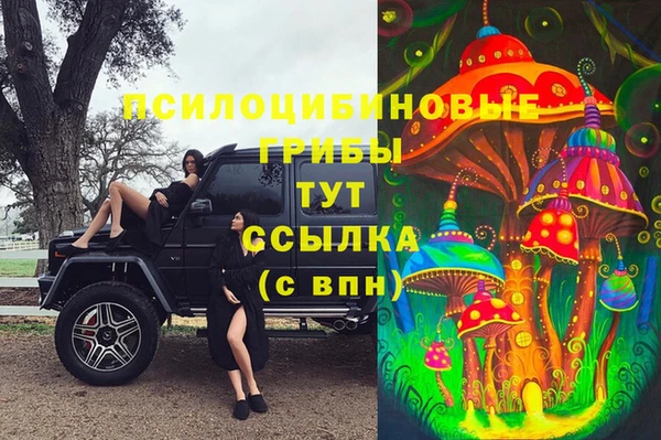 прущие грибы Баксан