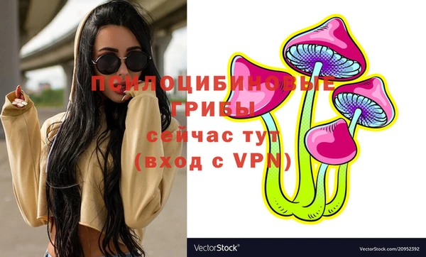 Альфа ПВП Балахна