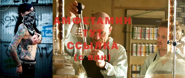 прущие грибы Баксан