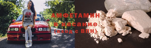 прущие грибы Баксан