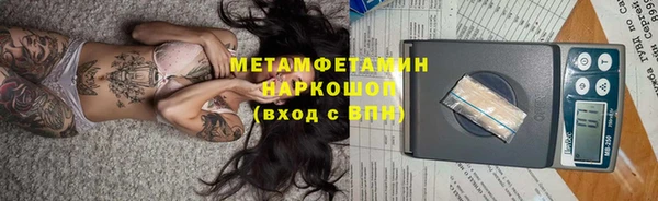 прущие грибы Баксан